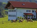 Ferienhof Keller - Biohof in Fischen - Berg Ferienhof Keller - Biohof in Fischen - Berg